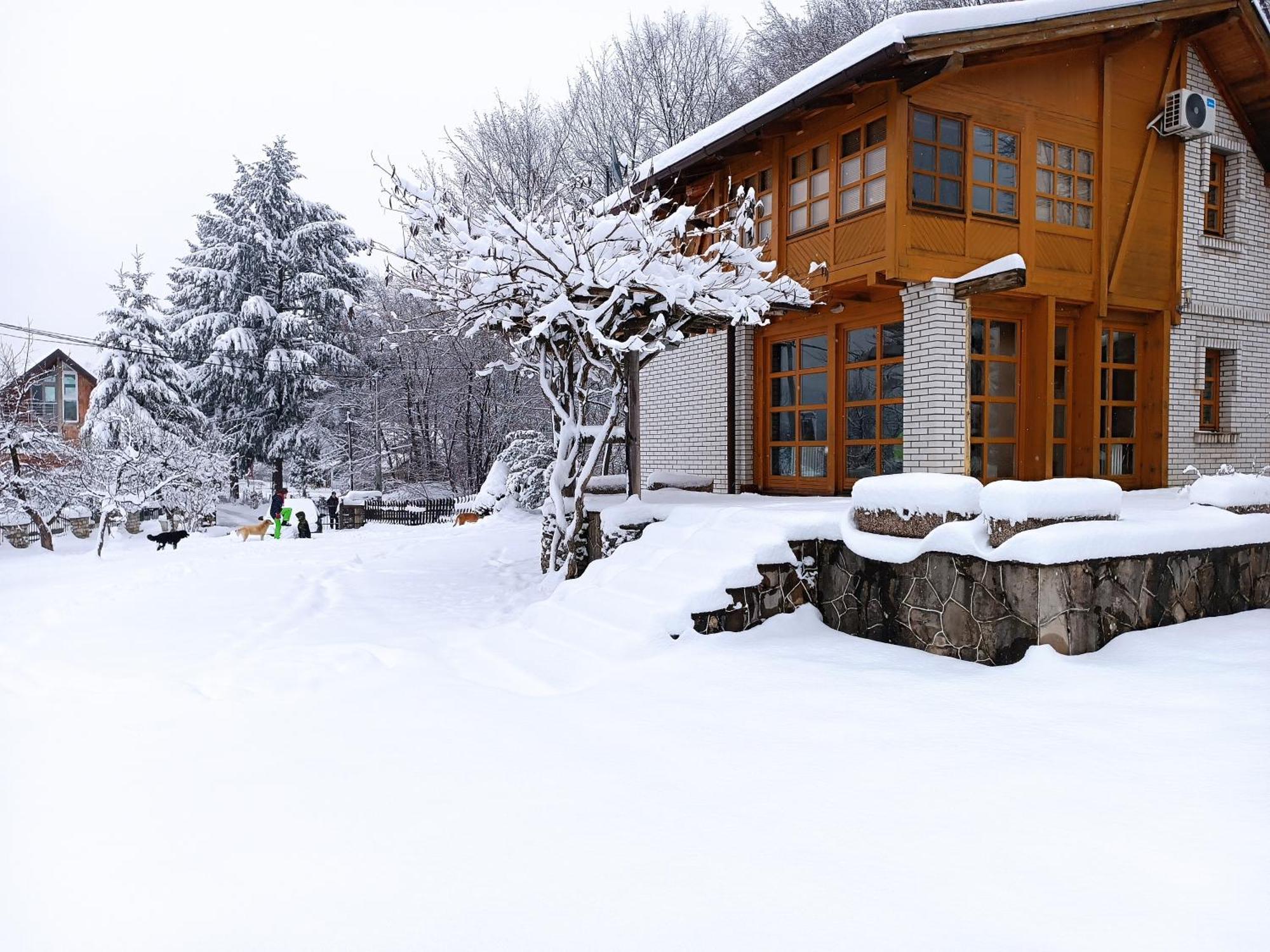 Villa Ema SJJ Extérieur photo
